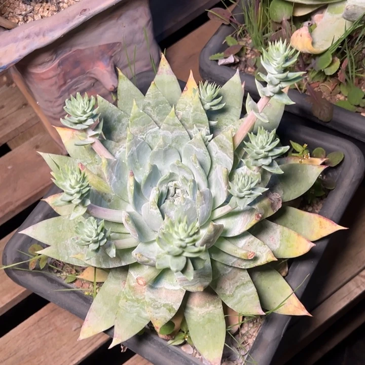 M**闵051哈哈哈哈哈哈哈哈