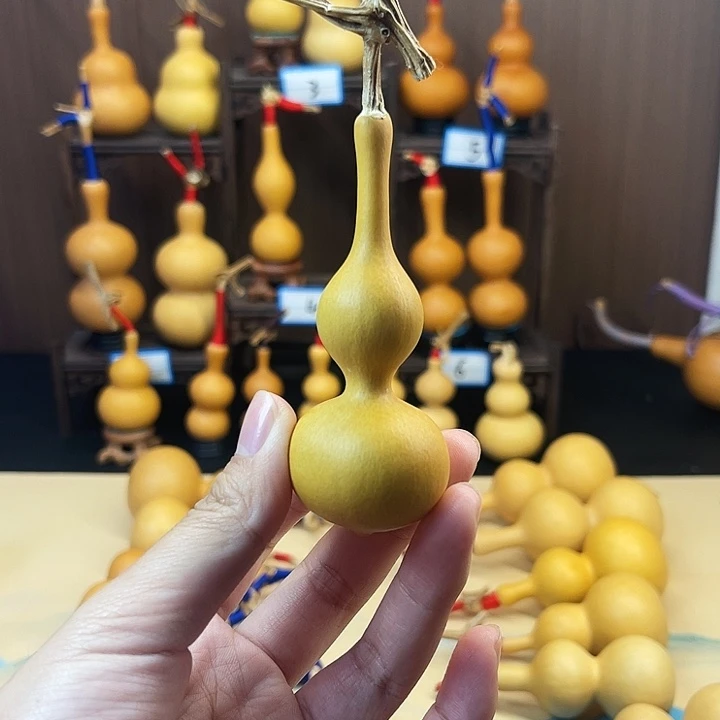 精品葫芦一物一拍