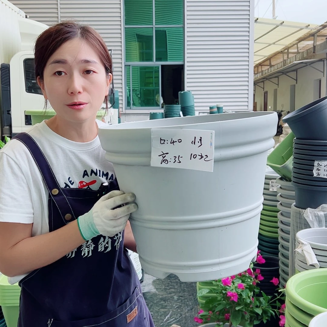 罗马盆小号灰白3个无托