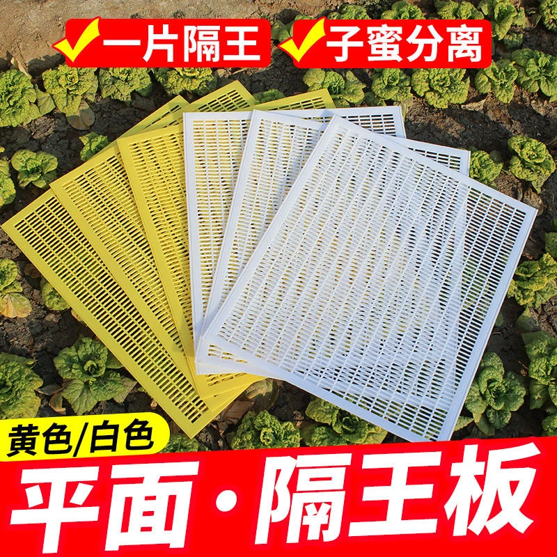中蜂塑料隔王板可裁剪塑料平面隔王板标准蜜蜂箱隔蜂王养蜂工具