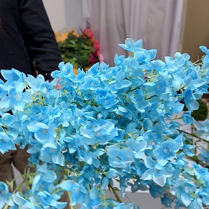 风铃花蓝色孤品19支