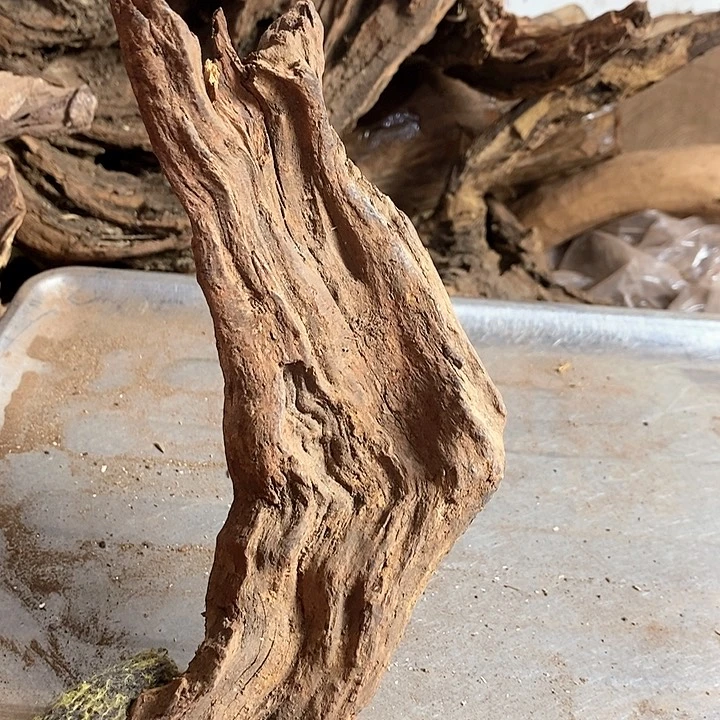 黄花梨/降香黄檀桃*岛