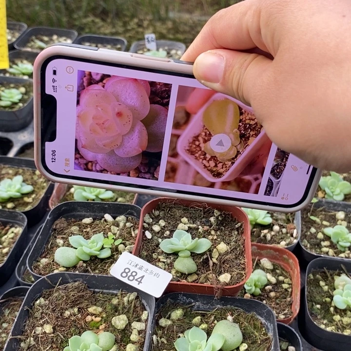 标887若沁一个量拍