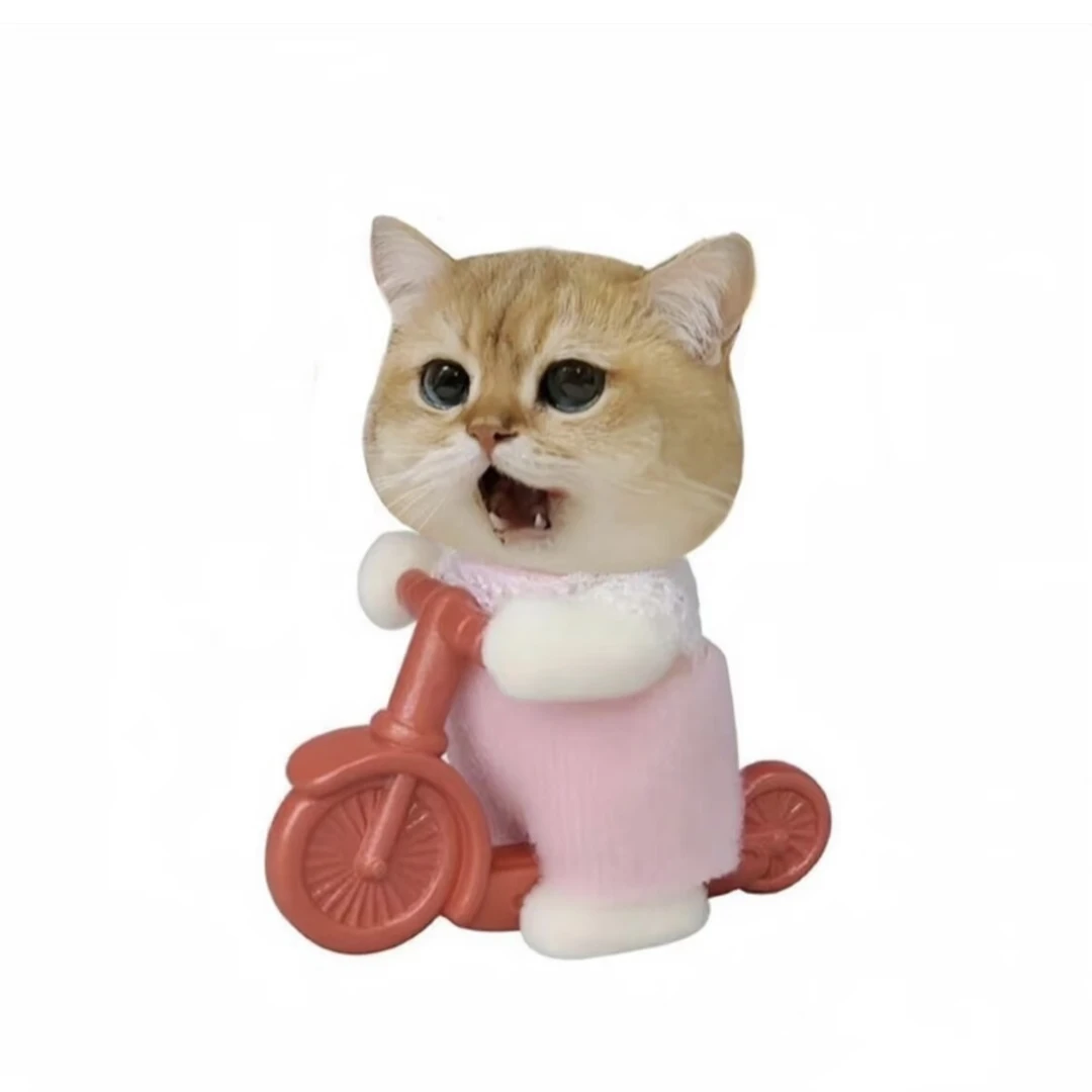 STTM-66两色插肩可爱小猫印花短袖