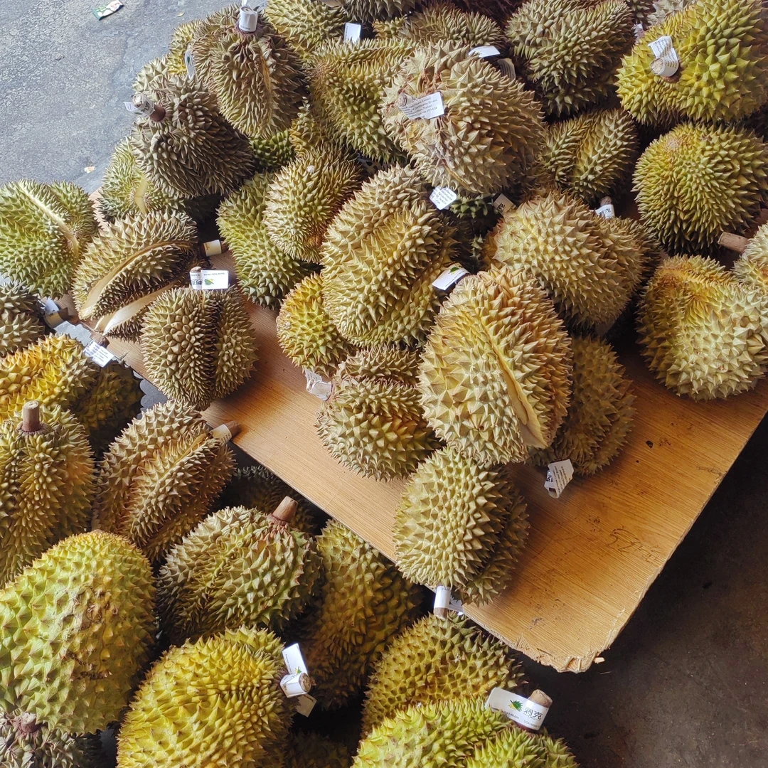约500克榴莲核小新鲜金枕泰国