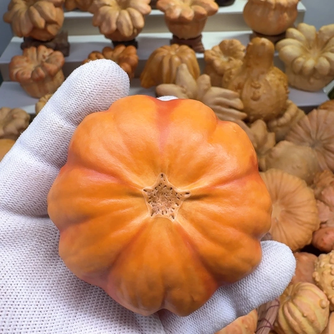 会****墨西哥七彩葫芦精品花饼