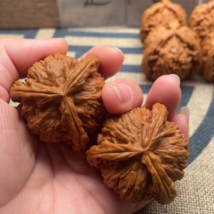 激***进核桃白狮子43核桃