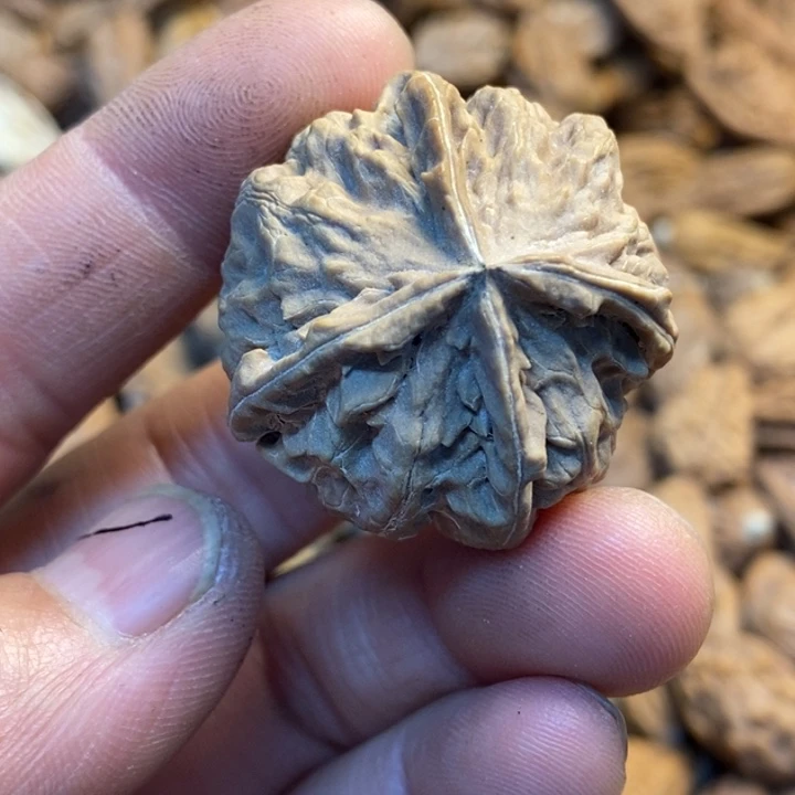 吊坠桃核娜姐真的67