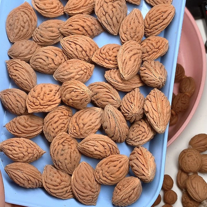 50颗桃核原核原皮原籽
