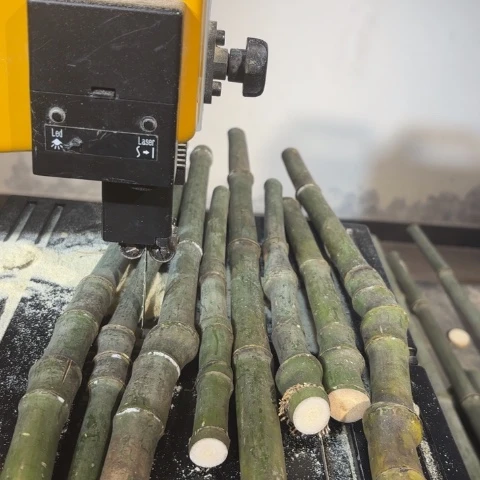 竹渔*w实心竹竹竹竹竹竹竹