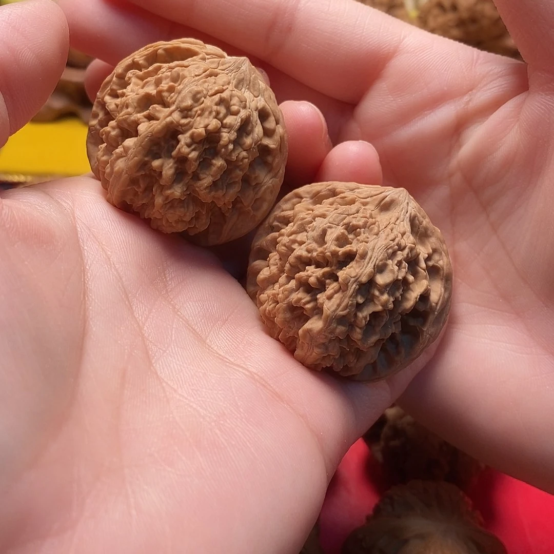 文玩核桃把件放漏满天星