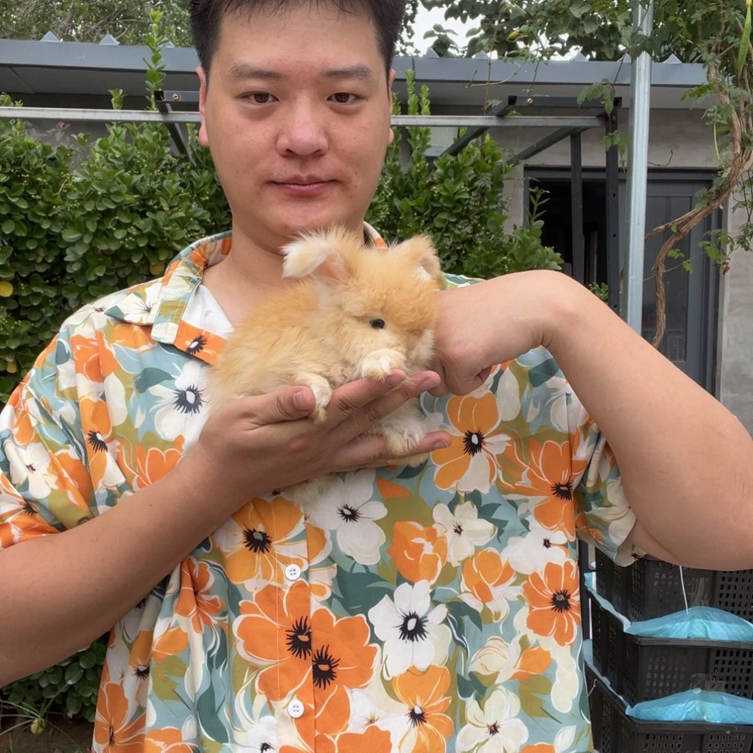 宠物11111111宠物