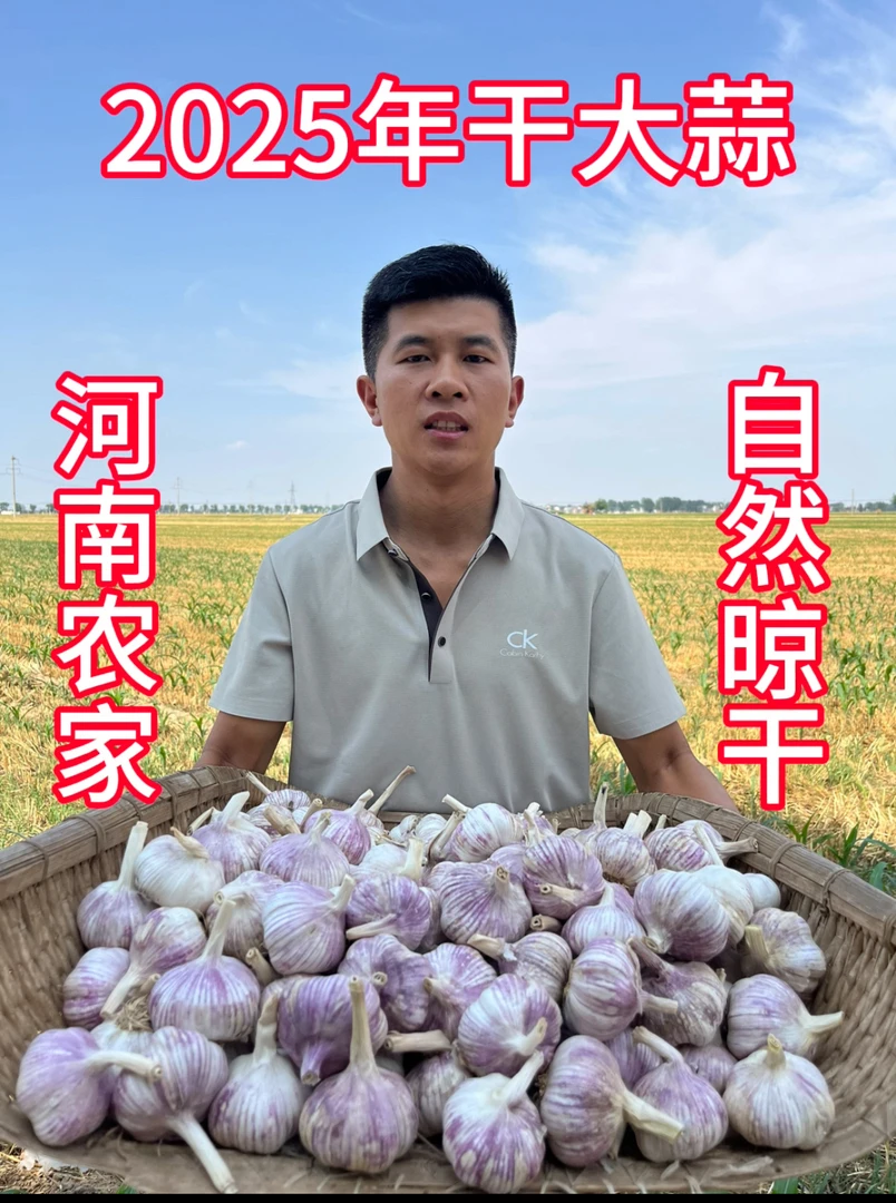 2025年大蒜头新鲜紫白皮蒜自种大蒜天然绿色