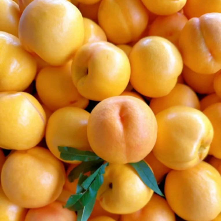 山东省临沂市黄金油桃310g油桃