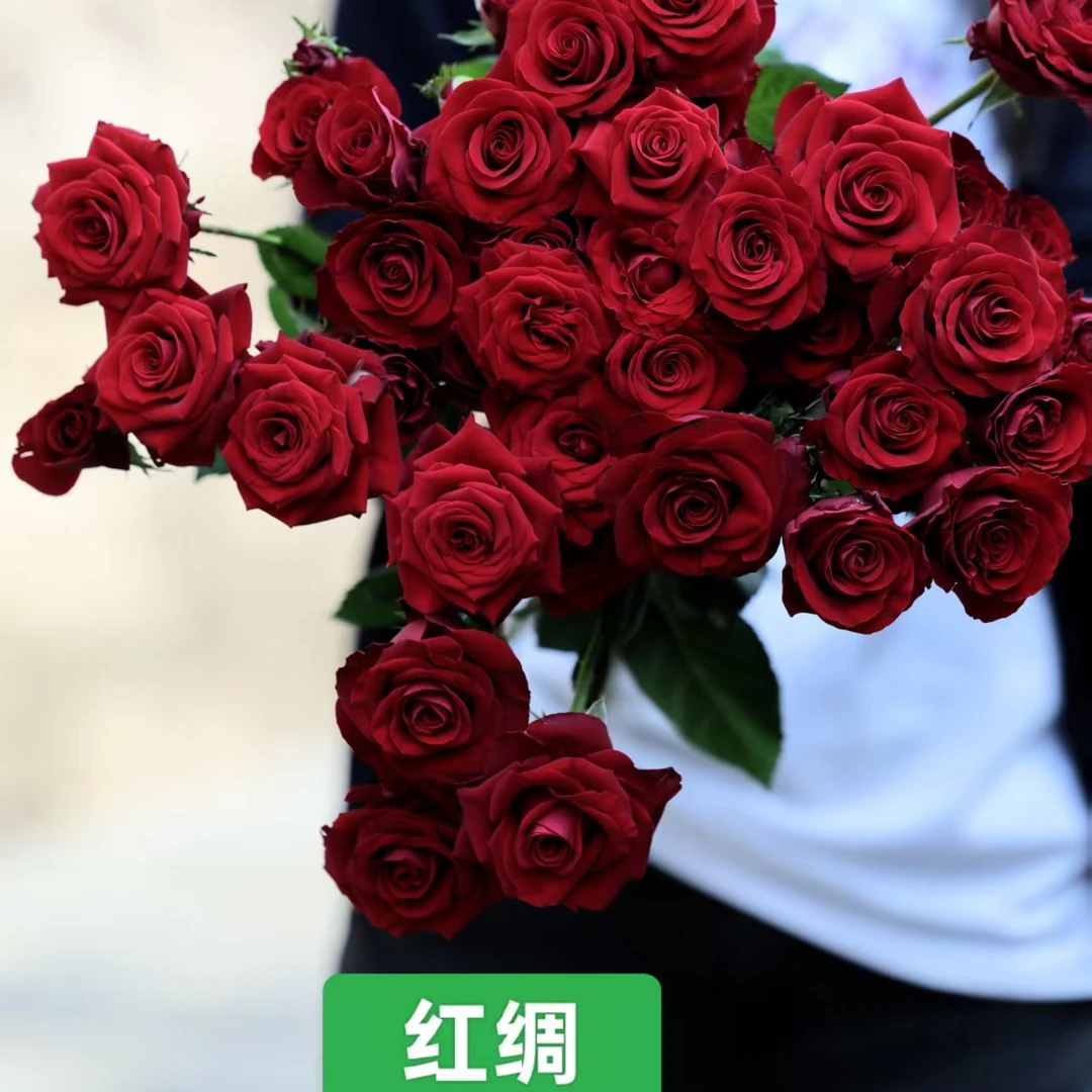 两单包邮！多头【红绸】玫瑰花