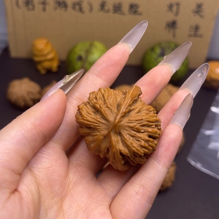 中***n菩提籽类虎头挂角单只异型