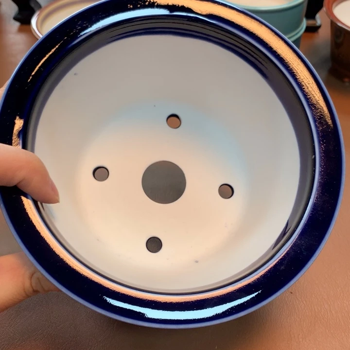 y***.我们的生活方式是什么时候