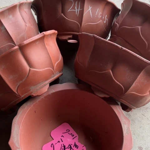 伴***久100-6。 24-10.5。  微瑕。