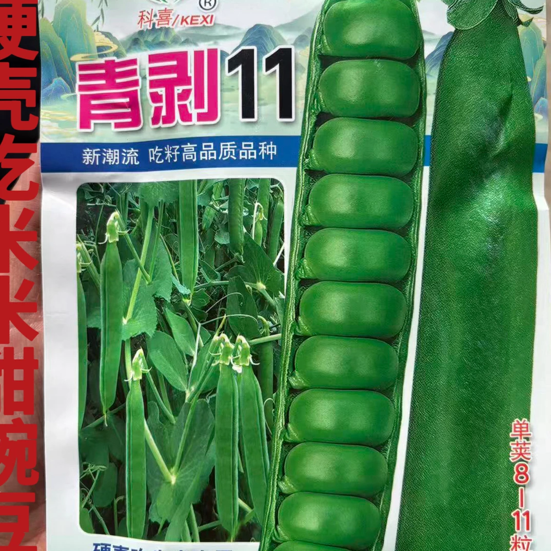 改良甜豌豆豆荚粗大圆厚生食炒食甜嫩化渣爽口豌豆酸菜种子