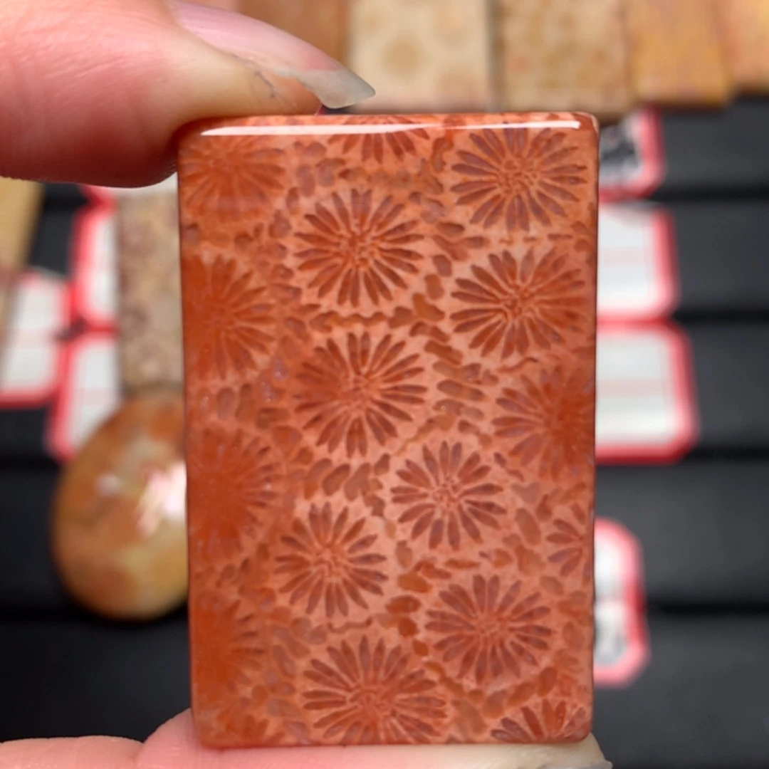 【闪购商品】硅化玉颈饰未镶嵌落**晖