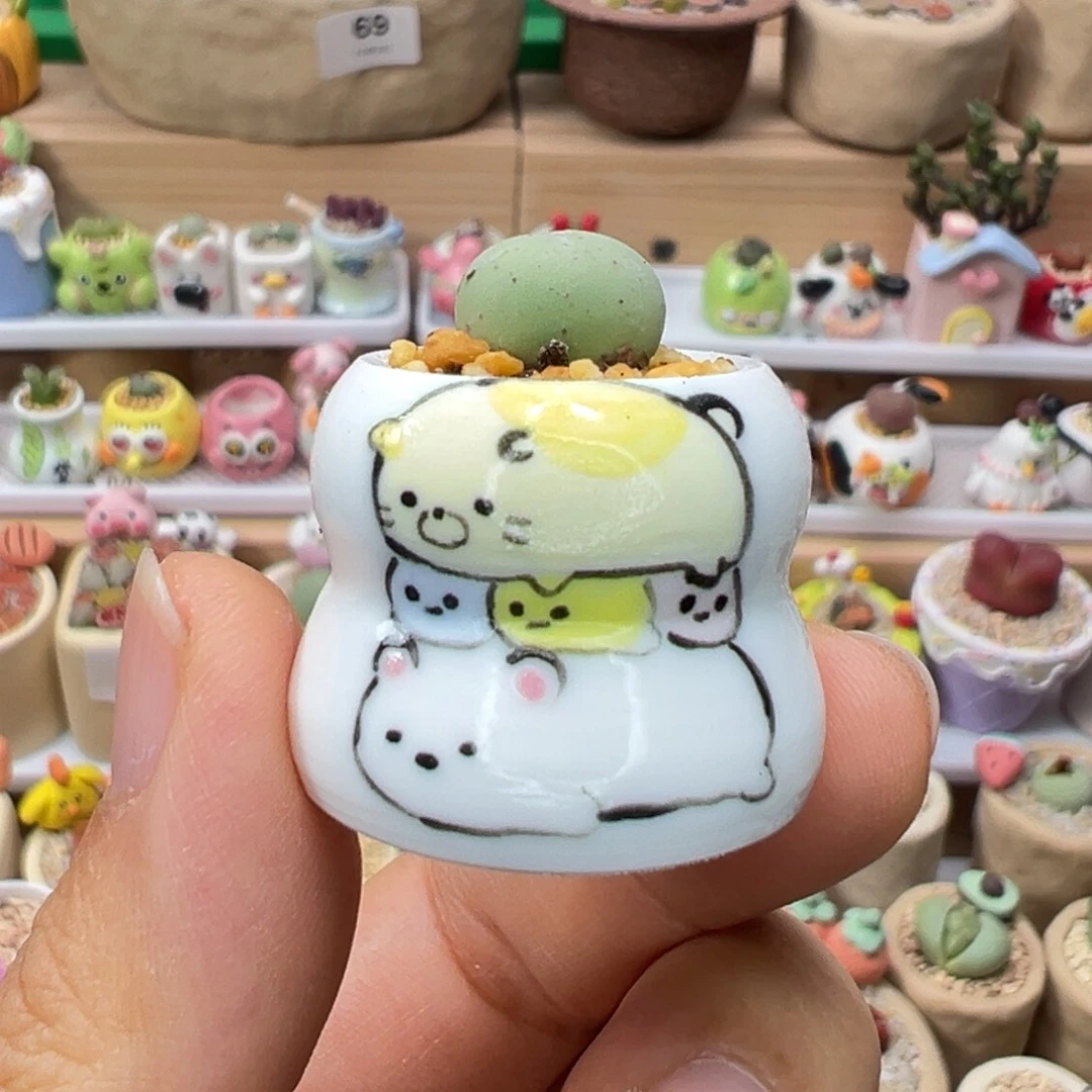 多肉植物109号鸽子蛋