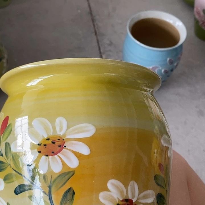 罐龙**珊12xc景德镇陶瓷花盆微下