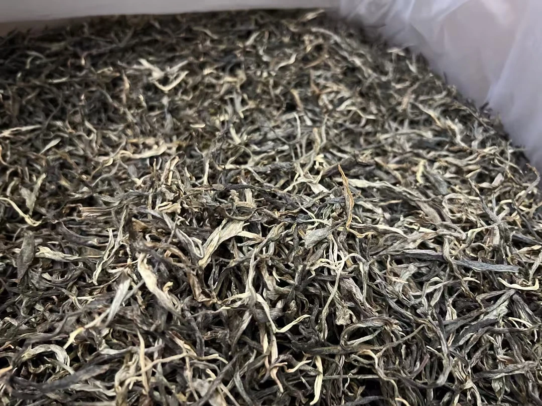 2025老曼峨大树头春头采生茶 散茶