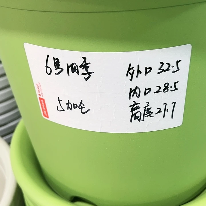 特价6号口32.5高27白色4只无托