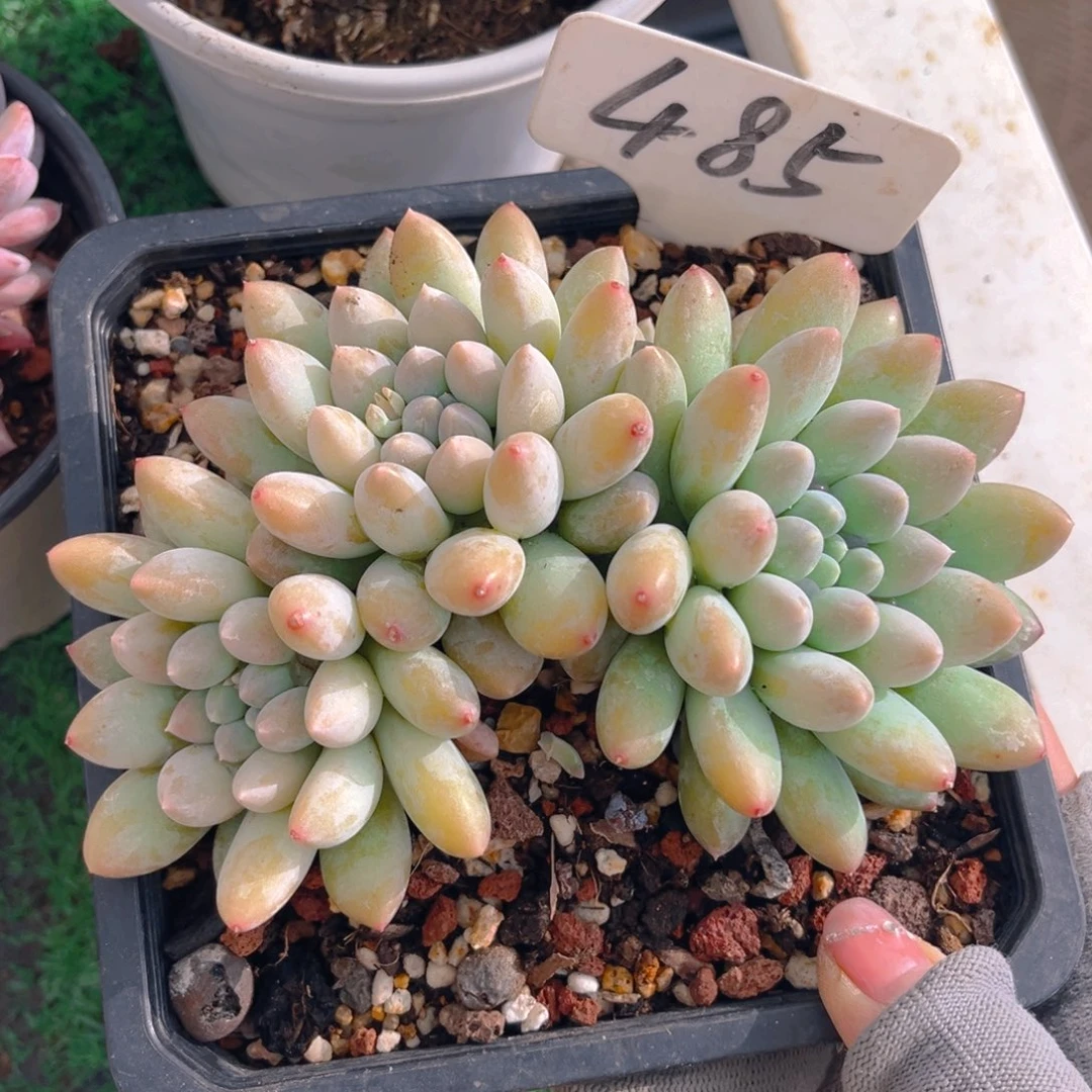 暖***W485fghjjjjjjjnn