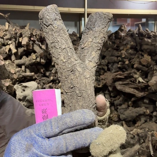 香榧木拉****o火琉璃的故事毛料摆件