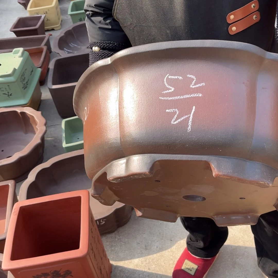 紫砂花盆盆景艺术