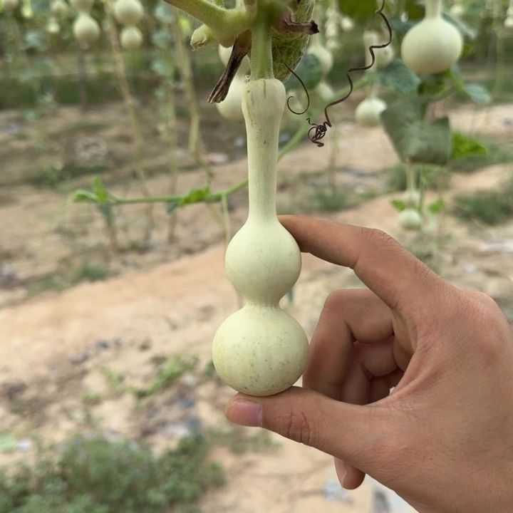 ****睡发空包一个月下架