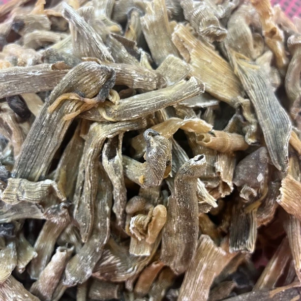 【大海货】沙虫干干 碎