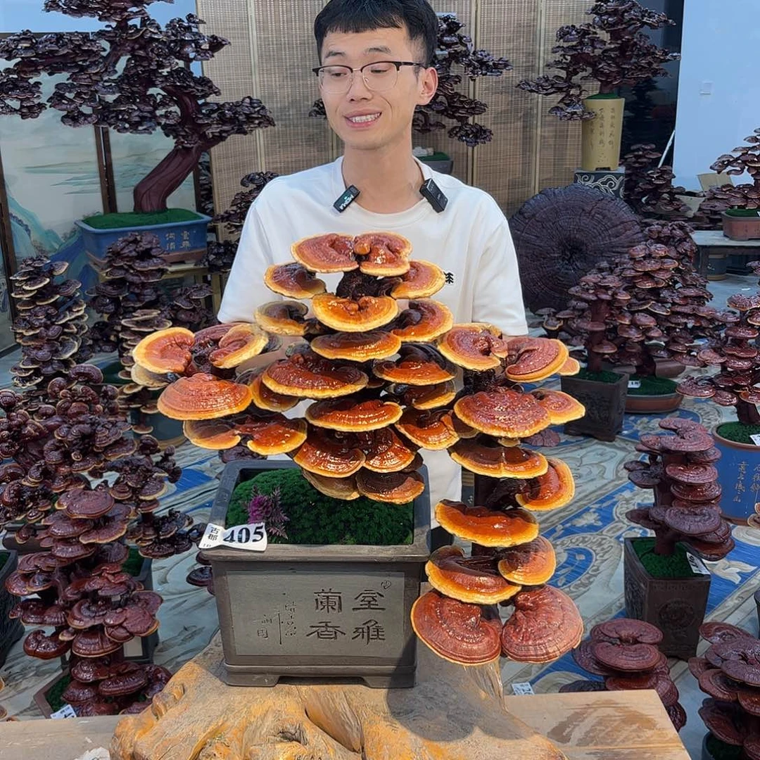 8888888888888888888888