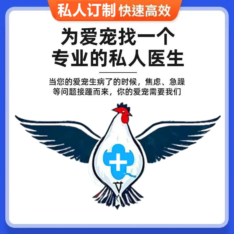 禽类鸟类鸦科在线咨询服务鸡鸭鹅鸽子鹌鹑鹦鹉鸟寒鸦渡鸦禽医老葛