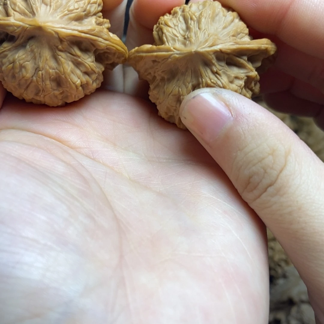 核桃核桃把件文玩1
