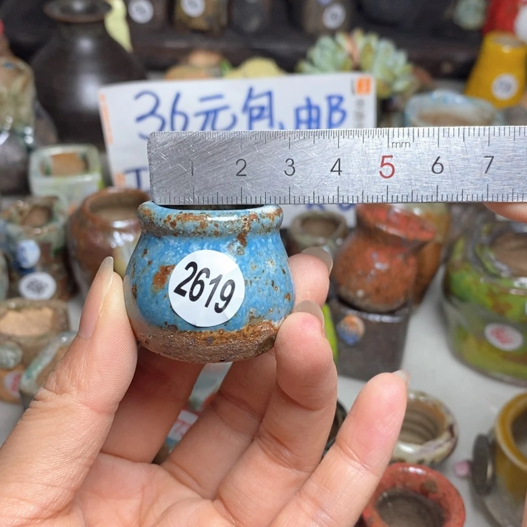 语**然拍5送一个小礼物