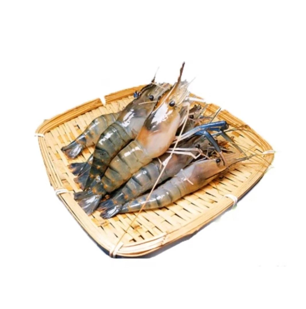 鲜活大罗氏虾 约500g/份