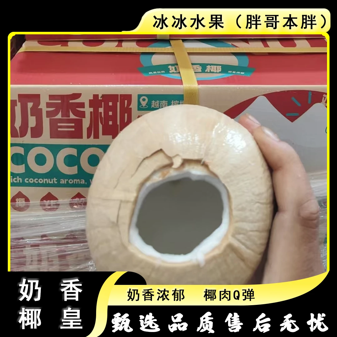 【原箱】[N]奶香椰皇 箱/9颗
