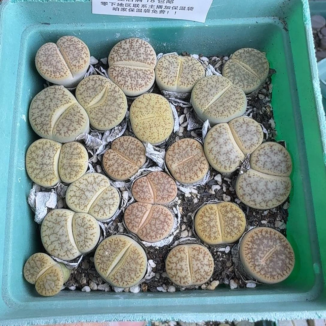 1334 哈哈哈哈哈哈哈哈哈哈