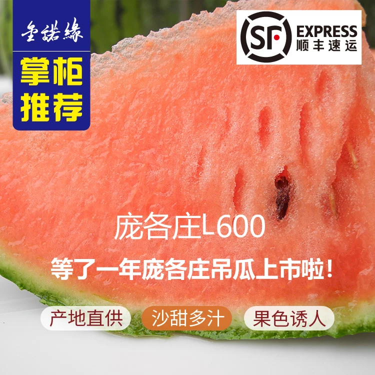 大兴庞各庄L600西瓜4粒13斤左右发货京津冀包邮