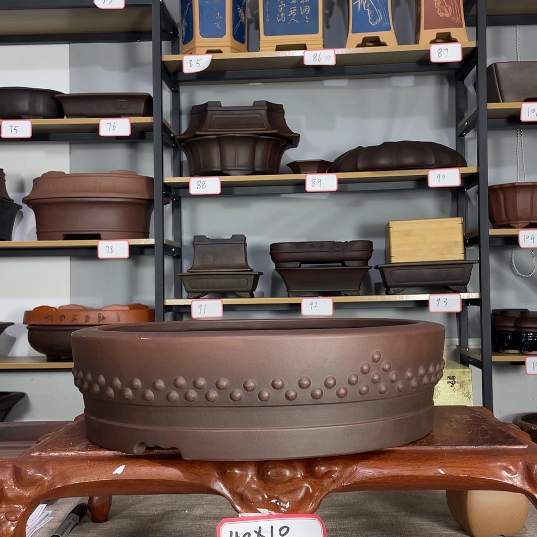 红陶自**翔56889766768779