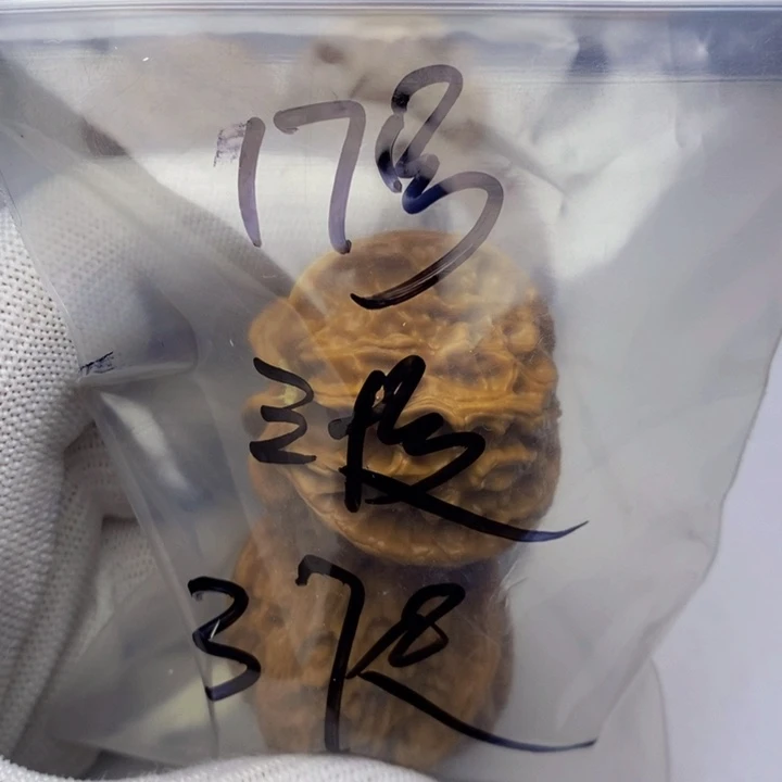 吊坠文玩核桃三棱