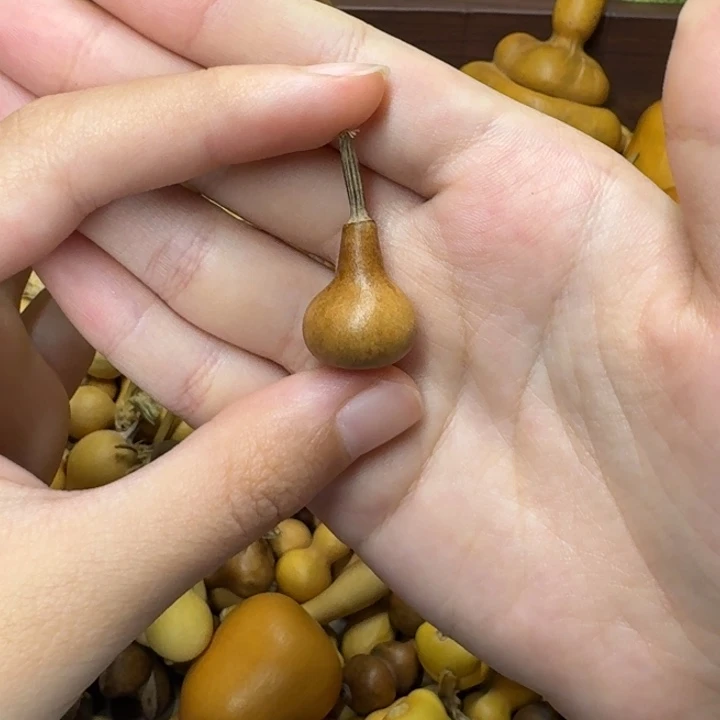 葫芦葫芦葫芦不包邮