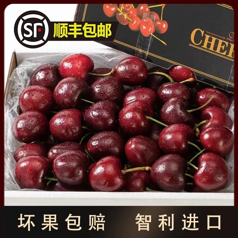 【一轩阁专属顺丰京东快递】新智利进口桑提娜新鲜车厘子2J/3J 新鲜水果 现货直发 2斤礼盒