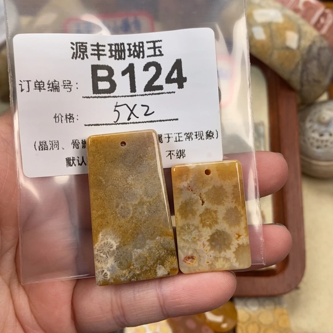 硅化玉颈饰未镶嵌成*