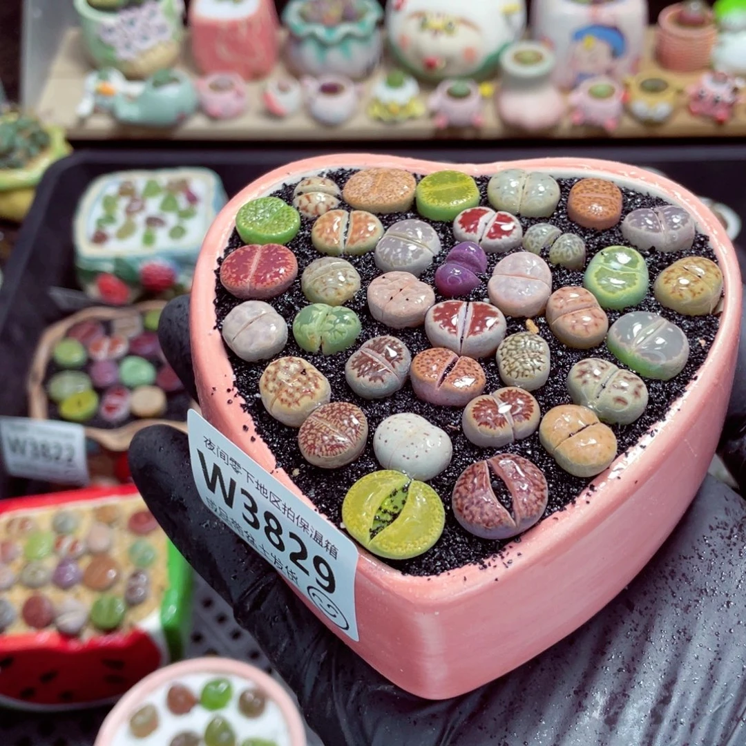 夜间零下地区拍保温箱w3829