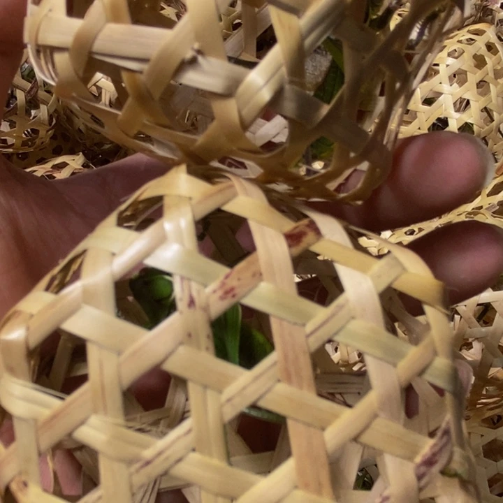 狼牙山野生绿蝈蝈2只