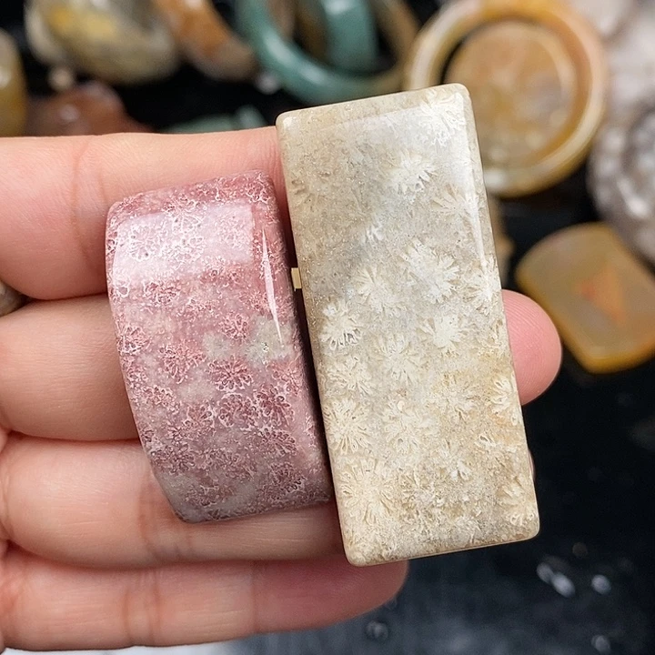 硅化玉未镶嵌颈饰