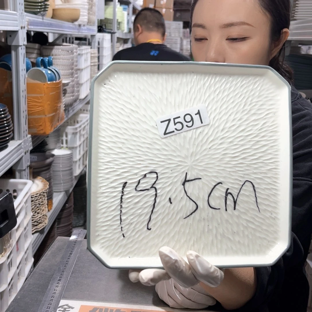 瓷片591                 2个